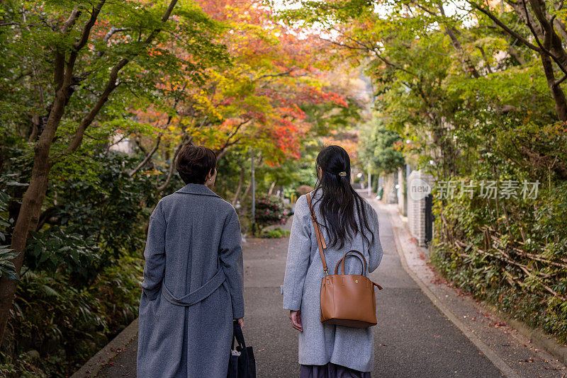 日本女性朋友在秋叶下行走的背影
