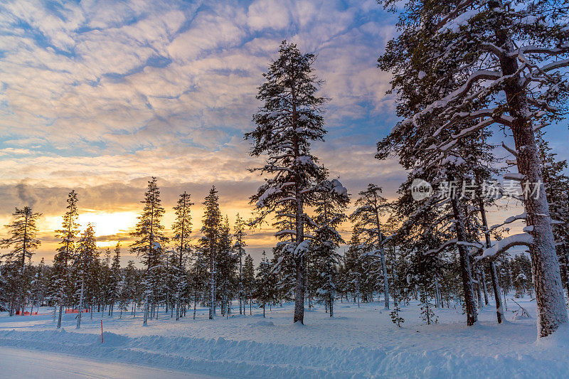 日落在冬日的雪林里，风景优美