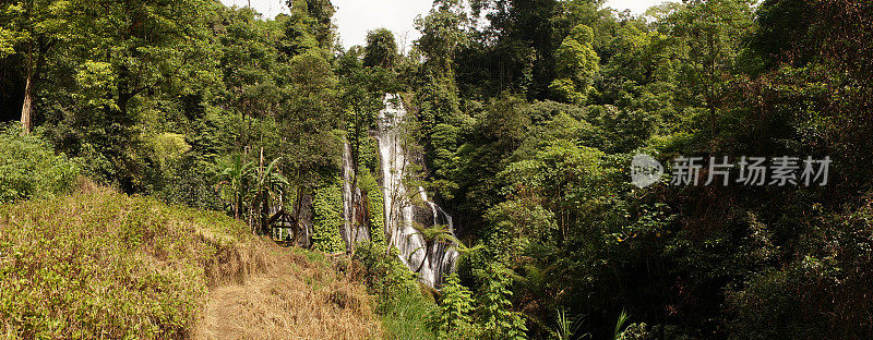 Banyumala瀑布在丛林周围的巴厘岛，印度尼西亚。