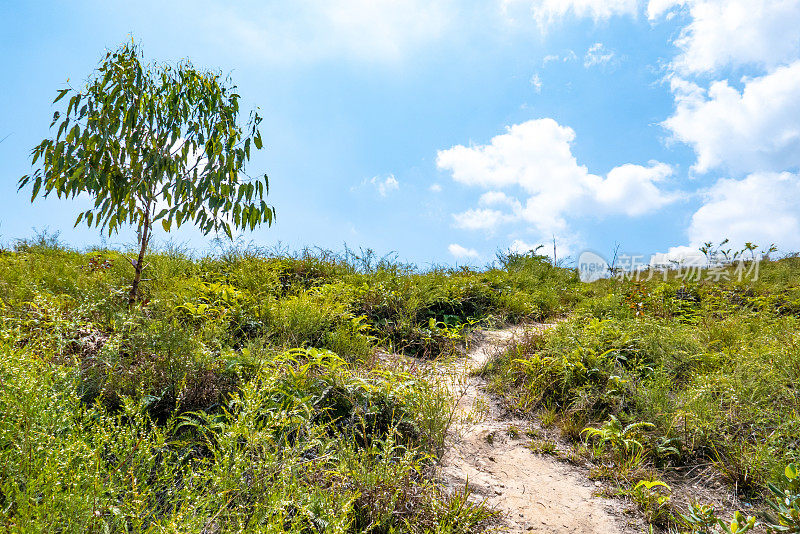 山间小路