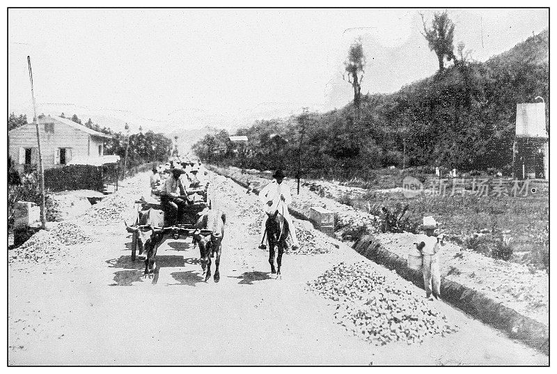 古董黑白照片:马亚奎斯和约科之间的道路，波多黎各