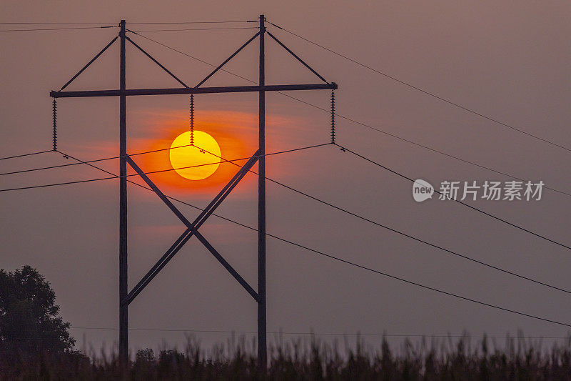 炎炎夏日的早晨，火红的橙色太阳从电线间升起。