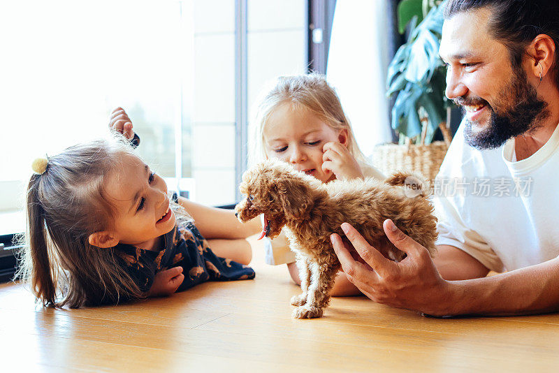 快乐的父亲和女儿们在沙发上玩他们的玩具卷毛狗