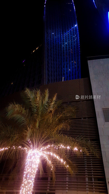 晚上，迪拜码头上的棕榈树上装饰着无数的灯，背景是令人惊叹的摩天大楼
