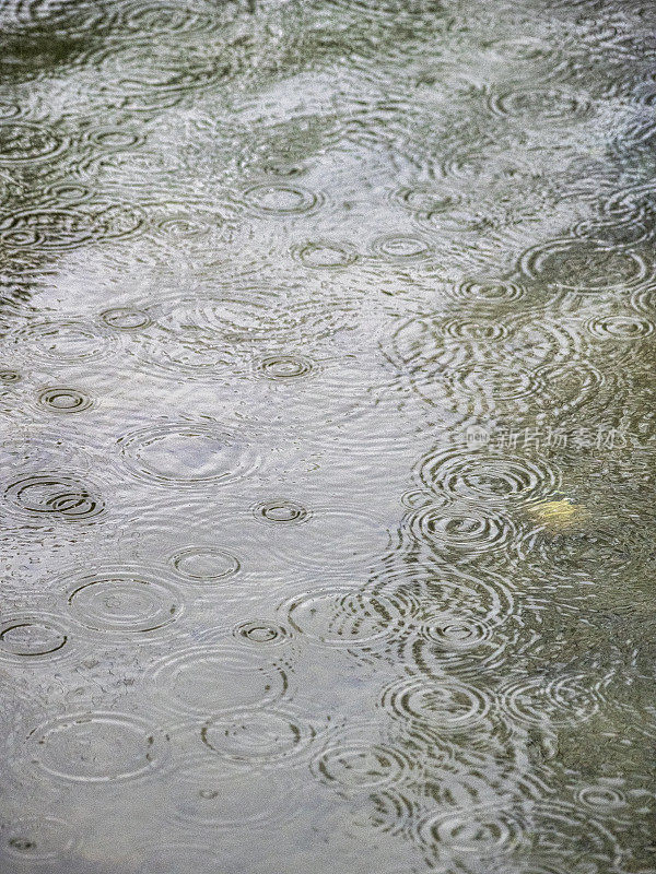 雨湖