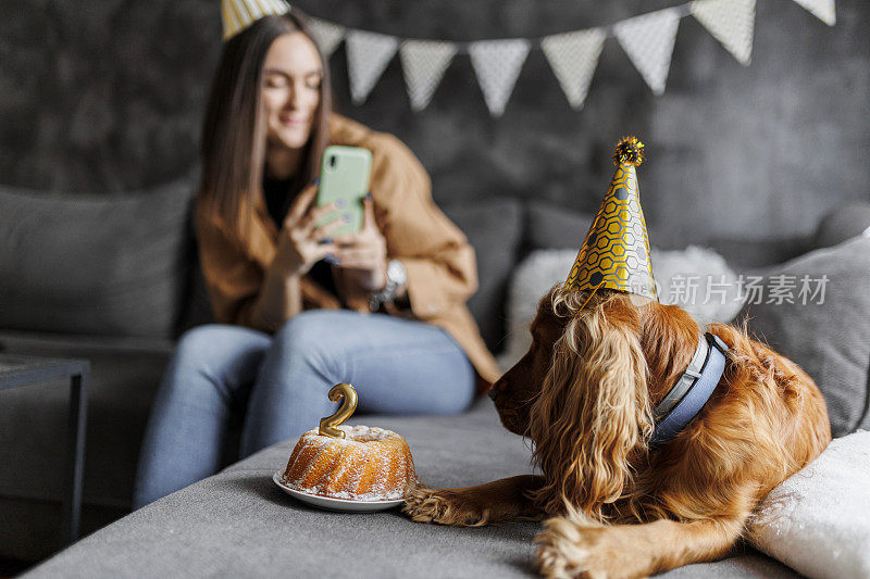 快乐的女人在家里和她的狗狗庆祝她的狗生日。