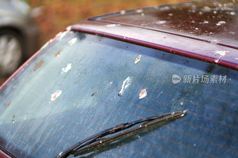 车上的鸟粪(Vogelkot)动物的粪便会损坏汽车的油漆。汽车车顶和雨刷被污染。