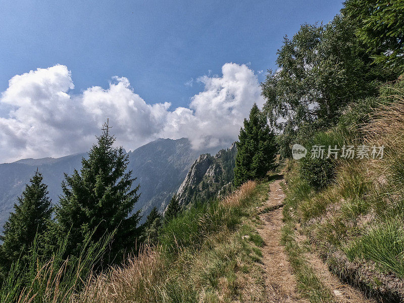 夏天的瑞士阿尔卑斯山