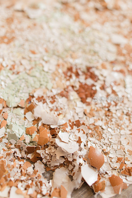棕色和蓝色牧场饲养的鸡蛋壳，粉碎，被用作室内植物和户外花园的天然肥料的高钙来源
