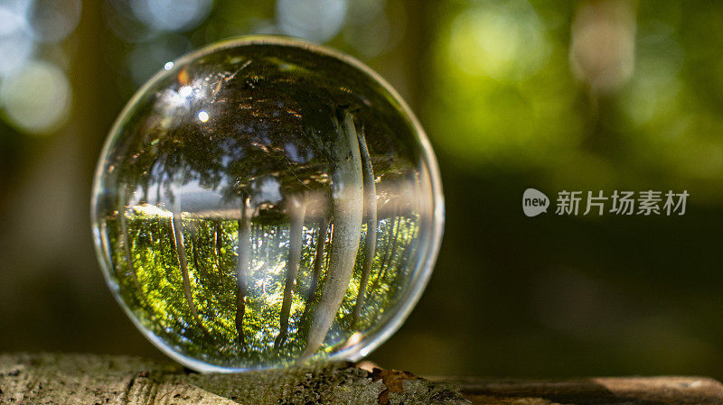 专注于照顾自然和气候与自然显示在一个水晶球与自然周围