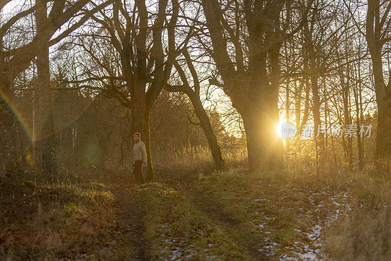 深秋日落时分在森林里徒步旅行。背光和极端的镜头耀斑在这个艺术拍摄对太阳。