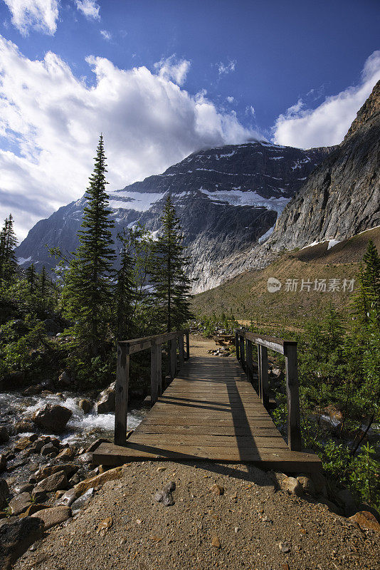 夏天的伊迪丝卡维尔山，贾斯珀国家公园，AB，加拿大