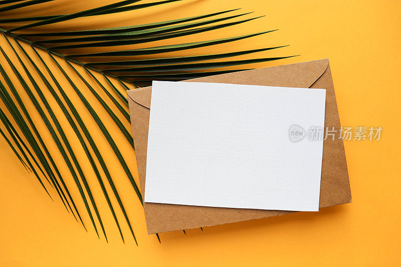 棕榈树枝上有一个信封和一个白色的空白文本