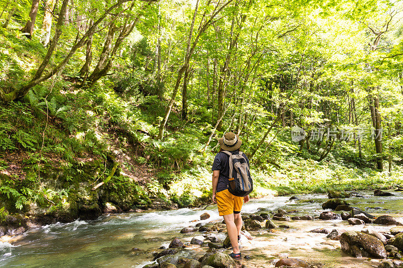 独自徒步旅行和探索山间溪流的女性