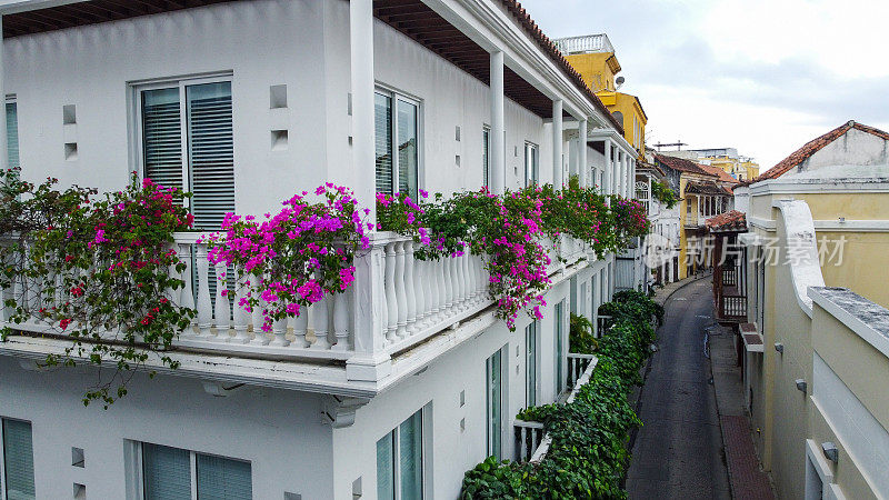 哥伦比亚卡塔赫纳老城沿街郁郁葱葱的阳台种植
