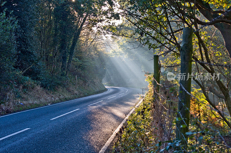 阳光穿过英国斯塔福德郡坎诺克蔡斯的道路上的树木