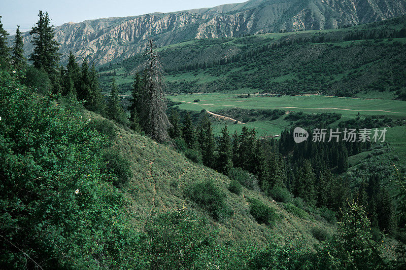 夏日清晨美丽的山景