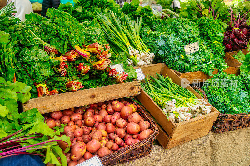 农贸市场的春季蔬菜精选