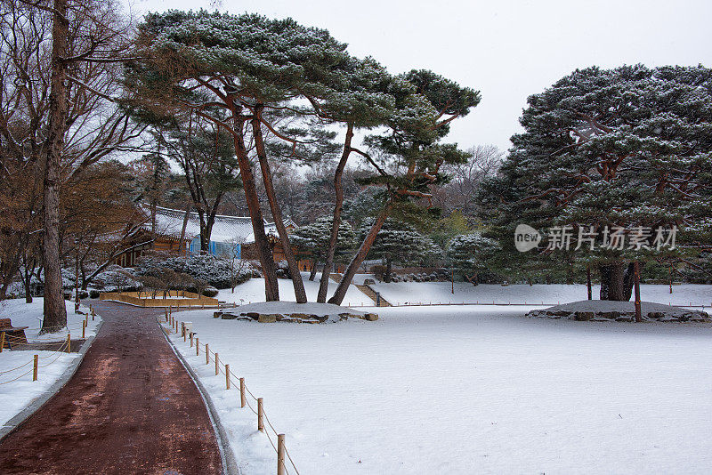 首尔的下雪天