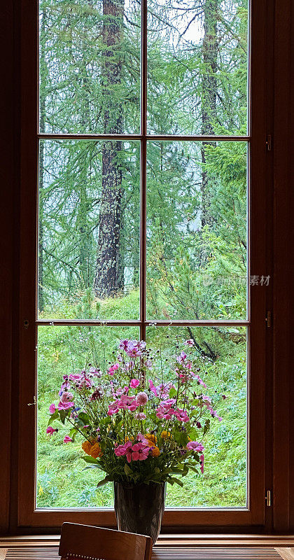 窗前的花束，身后是绿林，望着窗外