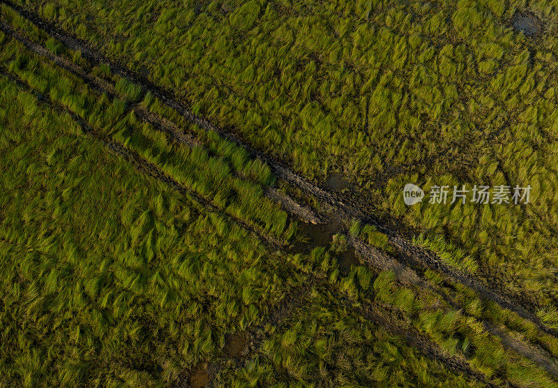 摘要航拍的绿色草地，江西省