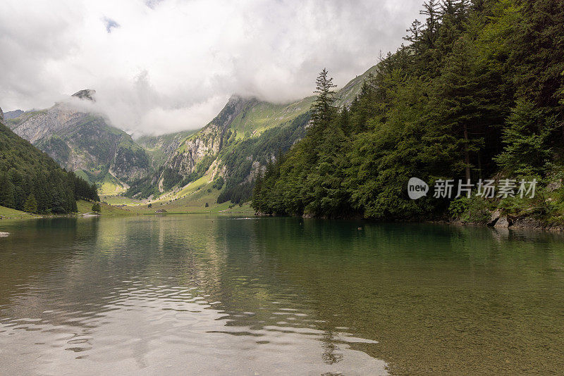 瑞士的阿尔卑斯山脉和阿尔卑斯湖