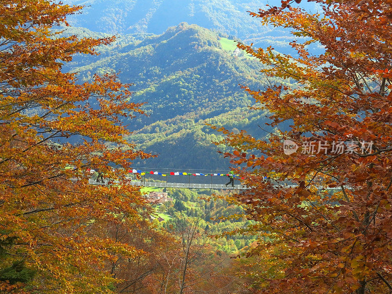秋天的山间，桥悬空在树木之间
