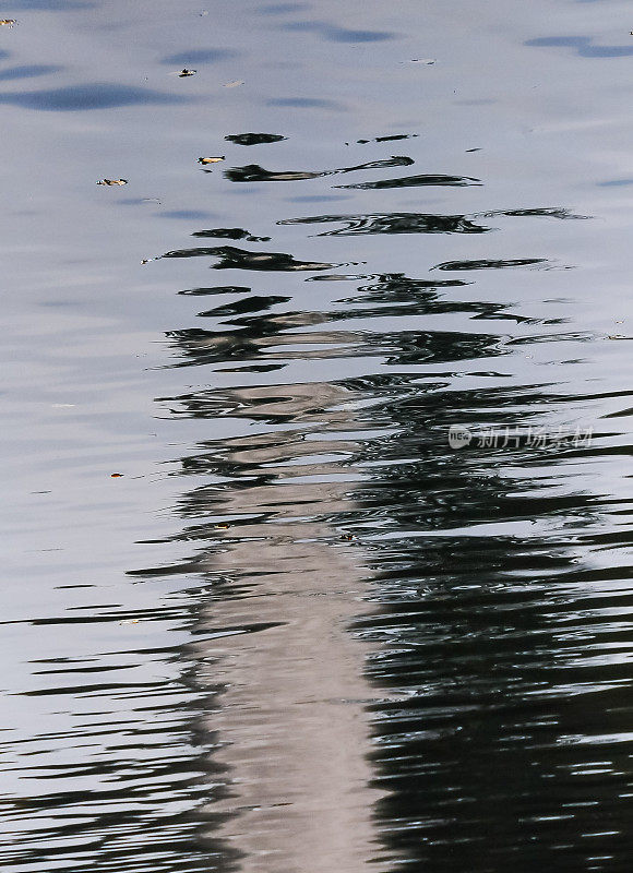 美丽的眩光和反射在苏菲伊夫卡公园池塘的水，人类