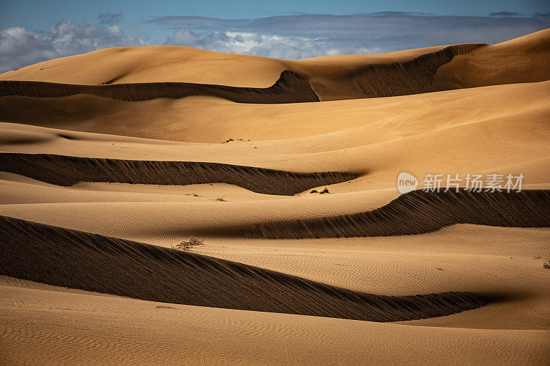 日出在干燥干旱的沙漠景观，独特形状的金色沙丘