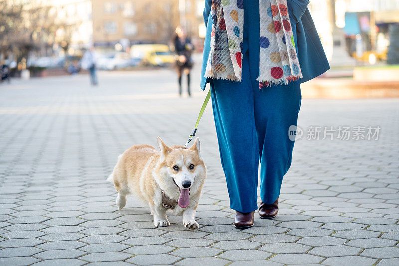 在城市里遛狗的女人