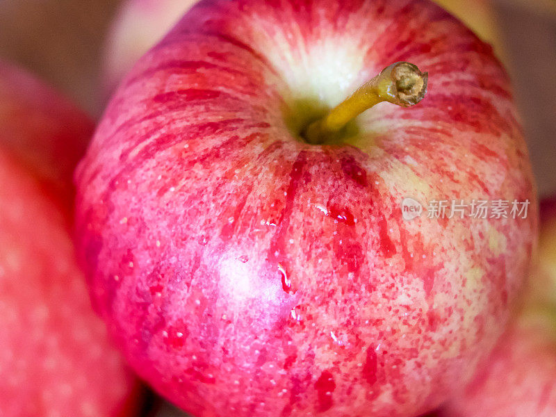 潮湿的苹果形象。苹果:又脆又湿的苹果，代表新鲜农产品适合杂货或保健品营销。