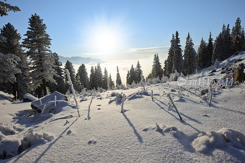 雪