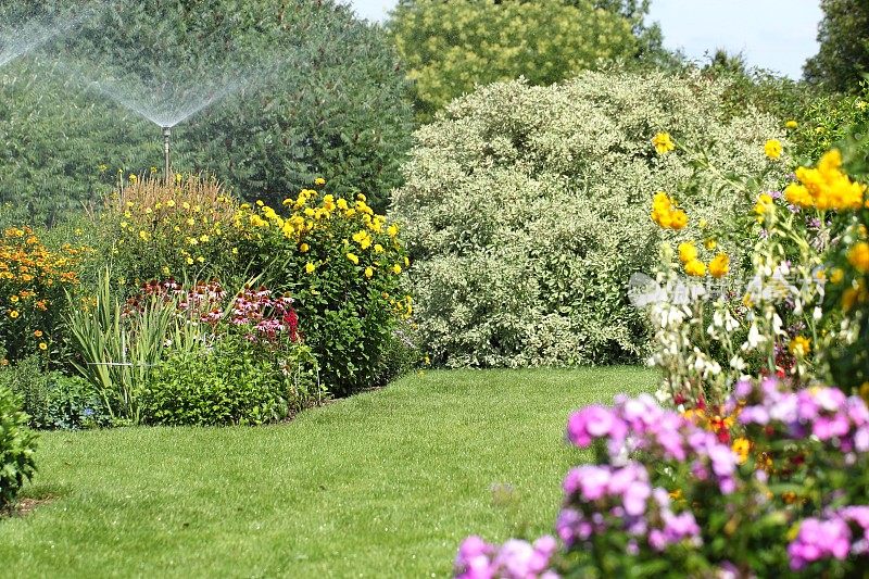 在花园里用洒水器浇水