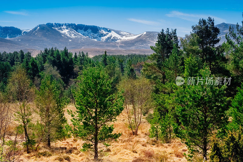 凯恩戈姆山脉，苏格兰高地地区