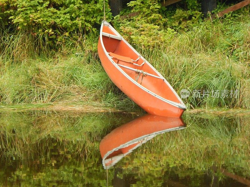靠近水边的独木舟