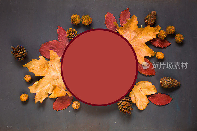 圆圆的秋天秋天暗红的框架与树叶红的，黄色的，橙色的枫树梧桐树的叶子，松果，胡桃在黑暗的背景