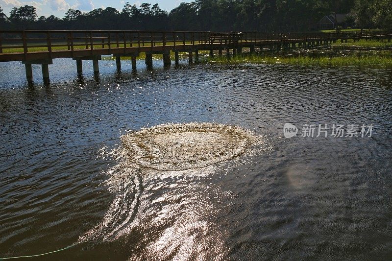 在码头外的微咸水域抛渔网