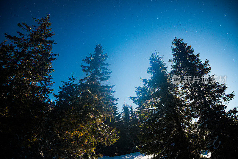 雪山里的夜月