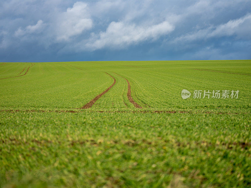 农业绿地，拖拉机履带和戏剧性的天空。