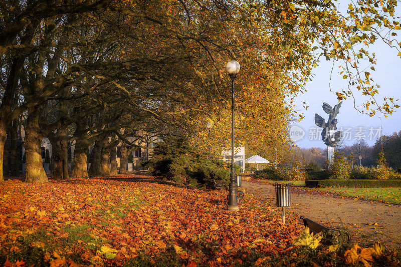 秋天的早晨，公园里有一条梧桐树小巷
