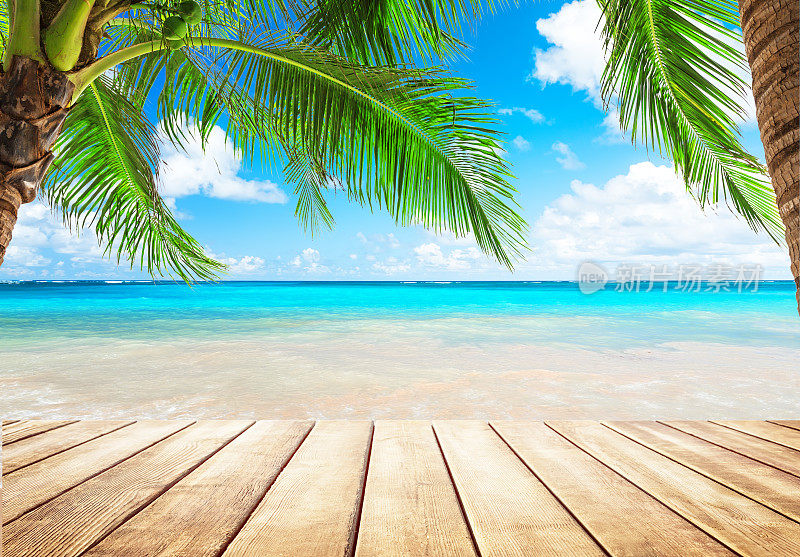 椰子树，蓝天和大海