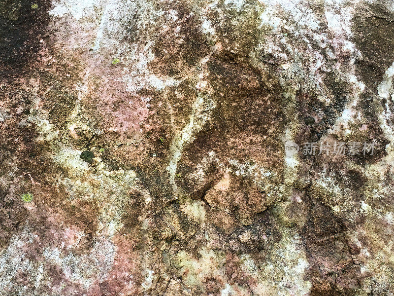 地衣和苔藓覆盖的岩石抽象背景