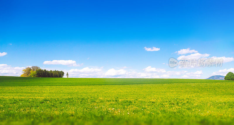 美丽的田野，绿草如茵，映衬着多云的蓝天