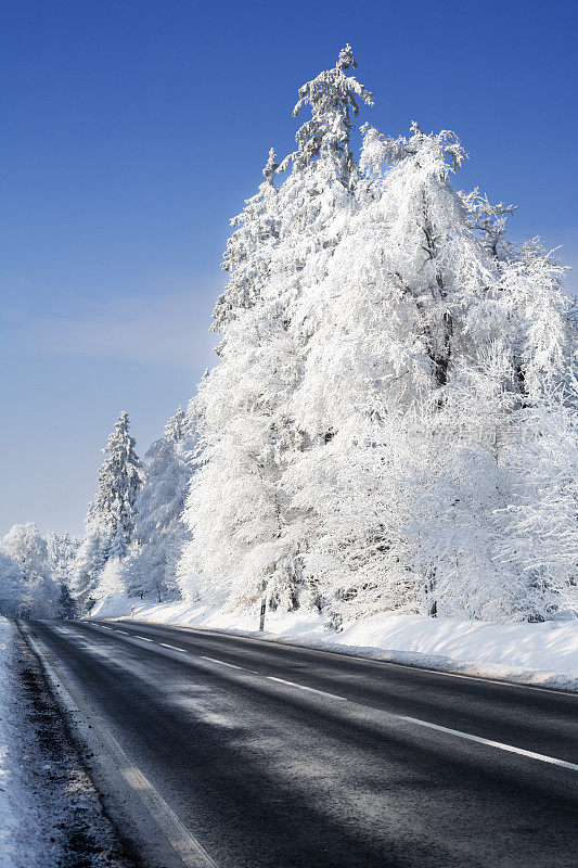 道路穿过冬天的森林-白霜