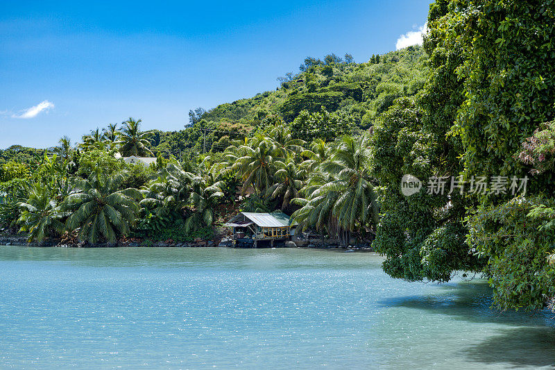 非洲塞舌尔群岛普拉林岛的热带海湾