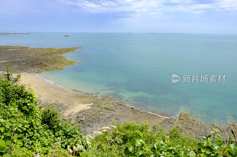 在海滩之间的松树，布列塔尼，法国