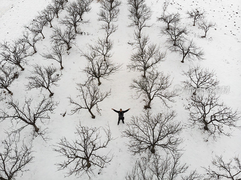 在寒冷的冬天，快乐的成年农民伸出双臂，在他覆盖着白雪的光秃秃的果园里。鸟瞰图。