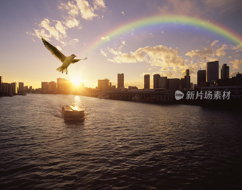 日本东京中区盐港上空，海鸥和彩虹