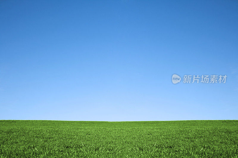 郁郁葱葱的绿草和凉爽的蓝天背景自然田野