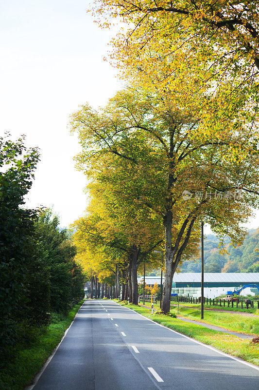 路Ruhrtalstraße在鲁尔山谷秋天